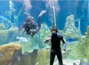  ?? AURELIO MAGAÑA ?? El acuario para conocer la vida bajo el mar.