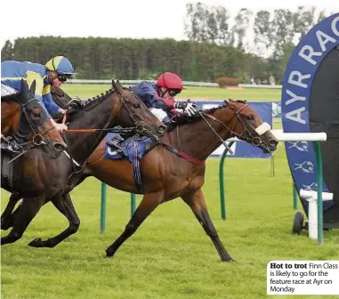  ??  ?? Hot to trot Finn Class is likely to go for the feature race at Ayr on Monday