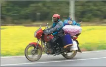  ?? TAN KEXING / FOR CHINA DAILY ?? A migrant worker rides his motorcycle on Friday in Liuzhou, Guangxi Zhuang autonomous region, during his trip back home for the upcoming Spring Festival holiday.