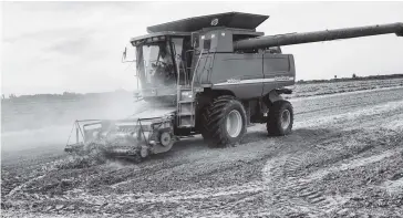  ?? FOTO: JAVIER VEGA ?? Una trilladora levanta la producción de frijol de un predio agrícola.