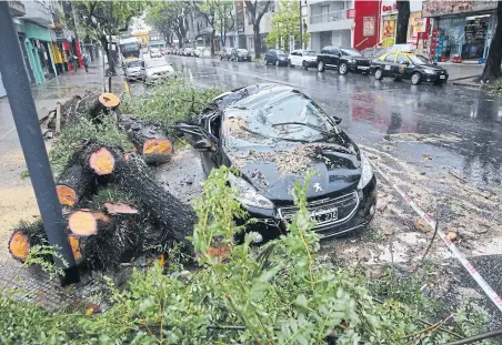  ?? Fabián Marelli ?? Árboles caídos, una postal repetida en los barrios porteños