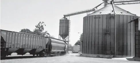  ?? FOTO: EL DEBATE ?? > Bodegas donde se compra y almacena el maíz en Sinaloa.