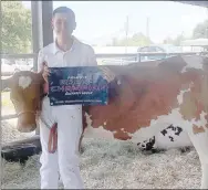  ??  ?? Left: Lincoln FFA member Logan Montgomery received Reserve Grand Champion Guernsey Heifer at the 2020 Washington County Fair. Center: Reany White, of Prairie Grove FFA showed at the Washington County Fair getting $800 for her dairy heifer during the 2020 Junior Livestock Auction Aug. 27. Right: Megan Parrish, a member of Farmington FFA Chapter, shows her Reserve Champion LaMancha Dairy Goat at the 2020 Washington County Fair.