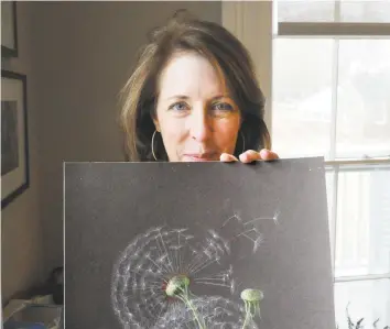  ?? Bob Luckey Jr. / Hearst Connecticu­t Media ?? Botanical artist Jeanne Reiner poses with her drawing of a Dandelion seed stem.