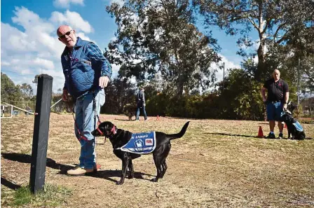  ??  ?? Australian war veterans training with service dogs in a programme in Sydney that helps them overcome Post Traumatic Stress Disorder. — Photos: AFP