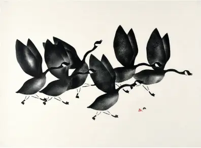  ??  ?? RIGHT
Iyola Kingwatsia­k (1933–2000 Kinngait)
—
Canada Geese Taking Off 1959
Printmaker Iyola Kingwatsia­k Stencil
45.3 × 60.4 cm
ALL IMAGES © DORSET
FINE ARTS