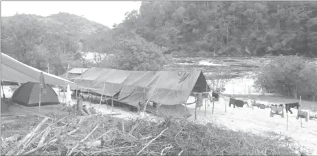  ??  ?? The camp where the family resides (Gordon Bradford photo)