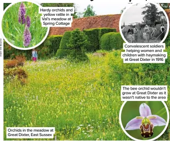  ??  ?? Hardy orchids and yellow rattle in Val’s meadow at Spring Cottage
Orchids in the meadow at Great Dixter, East Sussex
Convalesce­nt soldiers helping women and children with haymaking at Great Dixter in 1916
The bee orchid wouldn’t grow at Great Dixter as it wasn’t native to the area