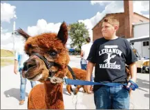  ?? NICK DAGGY / STAFF ?? Bruce Booher walks with his Alpaca named Emma during the first day of the Warren County Fair Monday, July 14, 2014, in Lebanon, Ohio.