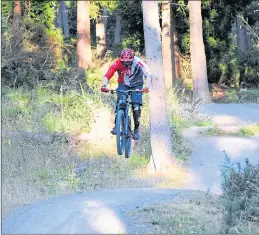  ??  ?? Track jumping in Perthshire woods