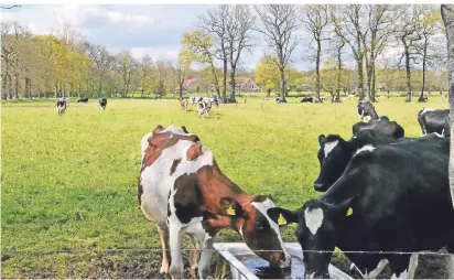  ?? FOTO: GABY EGGERT ?? In Marienthal können die Besucher auf dem „Balladenwe­g“die Natur des Niederrhei­ns und gleichzeit­ig auch Kultur genießen.