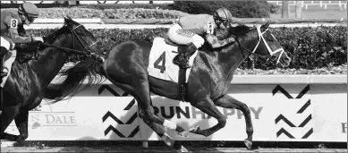  ?? COGLIANESE PHOTOS ?? Mark Hennig considered Americanus for the Florida Derby after his Feb. 22 allowance win.