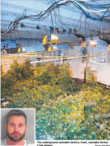  ?? Pictures: Kent Police ?? The undergroun­d cannabis factory. Inset, cannabis farmer Craig Haines