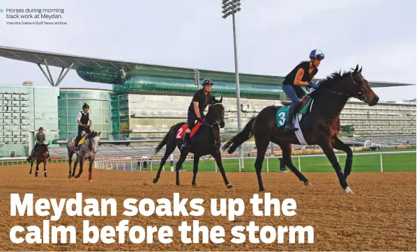  ?? Virendra Saklani/Gulf News archive ?? ■ Horses during morning track work at Meydan.