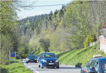  ?? FOTO: STEFAN MANGER ?? Der Ortschafts­rat Möhringen gab nun die Marschrich­tung für Maßnahmen zur Verkehrsbe­ruhigung der K 5944 im Bächetal vor, die allerdings der LBU nicht weit genug gehen und bislang auch nicht rechtlich abgeklärt worden seien.