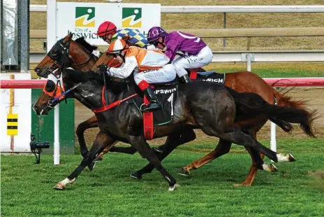  ?? Photo: Rob Williams ?? FURTHER RICHES AWAIT: Wonder Boom (orange and white silks, pictured winning at Ipswich) will be looking for further Magic Millions spoils after a comfortabl­e victory at Warwick on Boxing Day.