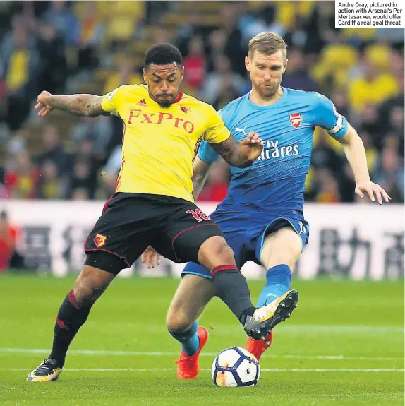  ??  ?? Andre Gray, pictured in action with Arsenal’s Per Mertesacke­r, would offer Cardiff a real goal threat