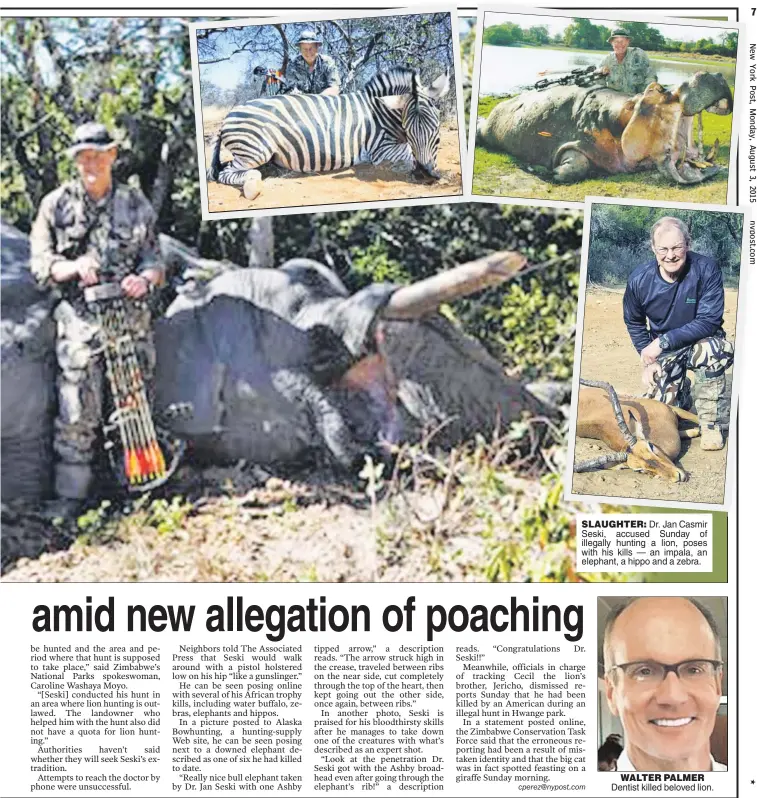  ??  ?? SLAUGHTER: Dr. Jan Casmir Seski, accused Sunday of illegally hunting a lion, poses with his kills — an impala, an elephant, a hippo and a zebra.