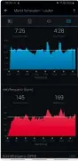  ??  ?? In der Garmin-App lassen sich alle Grafiken auch vergrößern.
