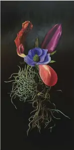  ??  ?? Tulipa Hydrangeac­eae, Hybrid No. 15, oil on wood panel, 122 x 61 cm (48 x 24")