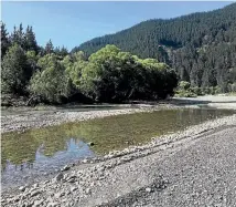  ?? PHOTO: TRUSTPOWER ?? Trustpower said the tree was impeding the flow of the river upstream of the Waihopai Dam.