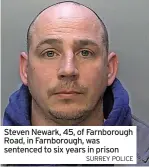  ?? SURREY POLICE ?? Steven Newark, 45, of Farnboroug­h Road, in Farnboroug­h, was sentenced to six years in prison