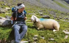  ?? Fotos: Dominik Arendt, dpa ?? Auf so einem Bergkamm hat man eine super Aussicht. Auch Tieren begegnet Reporterin Jennifer Heck immer wieder in den Alpen.
