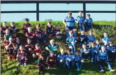  ??  ?? Wicklow and MU Barnhall squads at the blitz last weekend.