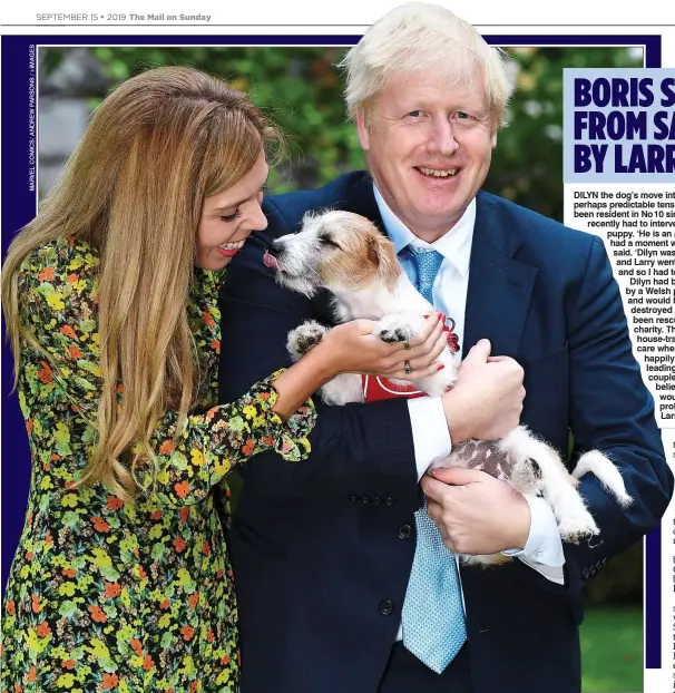  ??  ?? PUPPY LOVE: Boris Johnson and his girlfriend Carrie Symonds with their Jack Russell cross Dilyn, who the PM takes out for early-morning walks at No 10