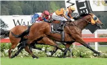  ?? PHOTO: TRISH DUNELL ?? Age Of Fire was unplaced in his Australian debut over 1600m in the Randwick Guineas.