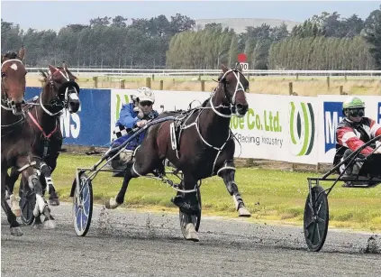  ?? PHOTO: MONICA TORETTO ?? First past the post . . . Pembrook Playboy burst through a gap to win the Central Otago Cup for Nathan Williamson.