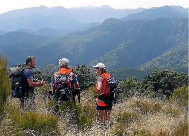  ?? PHOTO: DOC ?? DOC staff at the site of the proposed Moonlight Tops hut on the planned Pike 29 track route in the Paparoa National Park