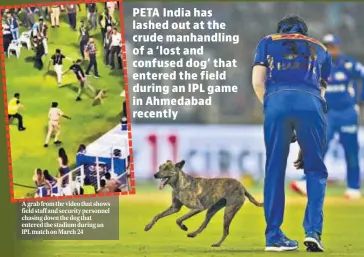  ?? ?? A grab from the video that shows field staff and security personnel chasing down the dog that entered the stadium during an IPL match on March 24