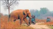  ?? HT FILE ?? Rajaji’s boundary adjoining Haridwar is not secure owing to which movement of poachers is recorded frequently.