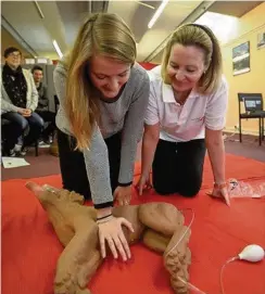  ??  ?? LIFE SAVING Owners can learn how to perform life saving skills on their pets