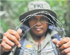 ??  ?? An Indonesian forest ranger holding barbed wire that was removed from traps set up by poachers to capture bears and tigers in the Leuser ecosystem rainforest. — AFP photo