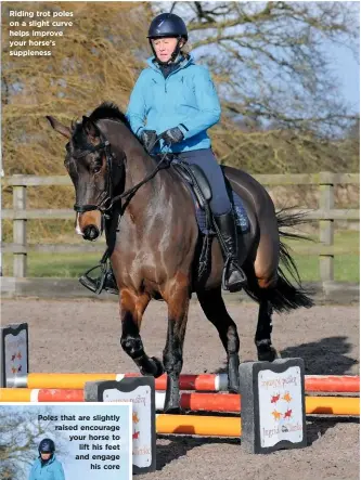  ??  ?? Riding trot poles on a slight curve helps improve your horse’s suppleness