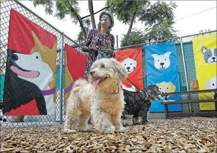  ?? Photograph­s by Mel Melcon Los Angeles Times ?? BOBBY ANN Luckett spends time with Princess Ann, left, and Chub-Chub Lee at the Weingart Center’s dog park on skid row.