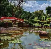  ??  ?? Pour les plus beaux clichés de la ville, faites un tour par le jardin japonais, le lieu d’exposition des Abattoirs et faites une pause à La Fiancée pour la photo #food