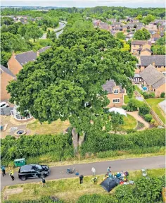  ?? ?? The scene of the stand-off around the tree in Blind Lane, Peterborou­gh, yesterday