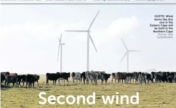  ?? Picture: ESA ALEXANDER ?? GUSTO: Wind farms like this one in the Eastern Cape will be built in the Northern Cape