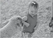  ?? Provided by the Arapahoe County Fair ?? Even young visitors will enjoy the Arapahoe County Fair.