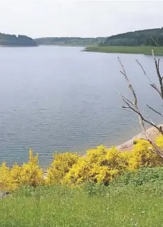  ?? FOTO: TEIFEL ?? Prägt die Landschaft und das Zusammenwi­rken von Landwirten und Wasserwirt­schaft: Die große Dhünn-Talsperre als Trinkwasse­rreservoir.