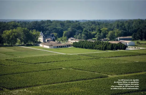  ??  ?? Les 60 hectares du vignoble de château Olivier, en appellatio­n Pessac-Léognan, font partie d’un ensemble de 220 hectares niché au milieu d’une forêt multicente­naire.