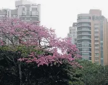  ?? NILTON FUKUDA/ESTADÃO ?? Ibirapuera. Bairro tem os custos mais altos de São Paulo