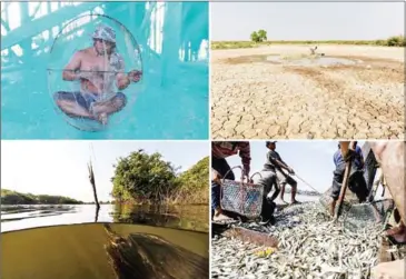  ?? WONDERS OF THE MEKONG ?? Photograph­s from the exhibition titled
Tonle Sap: Heart of the Mekong.