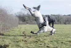  ?? — Reuters ?? A member of the Old Surrey Burstow and West Kent Hunt crashes as she jumps a fence during the annual Boxing Day hunt in Chiddingst­one on Tuesday.