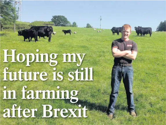  ??  ?? > Young farmer Dafydd Davies, 17