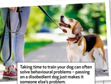  ??  ?? Taking time to train your dog can often solve behavioura­l problems – passing on a disobedien­t dog just makes it someone else’s problem.