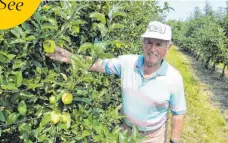  ?? FOTO: MT ?? Baut seit 45 Jahren Obst an: Eberhard König. Er hat aber auch schon ein Ständchen für Konrad Adenauer gesungen und ist John F. Kennedy begegnet.